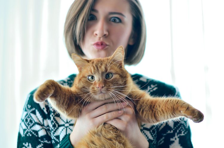 Signs that you are a crazy cat lady